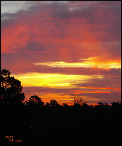 photo "Mood" tags: landscape, sunset