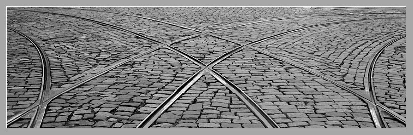 фото "Переплетение" метки: черно-белые, 