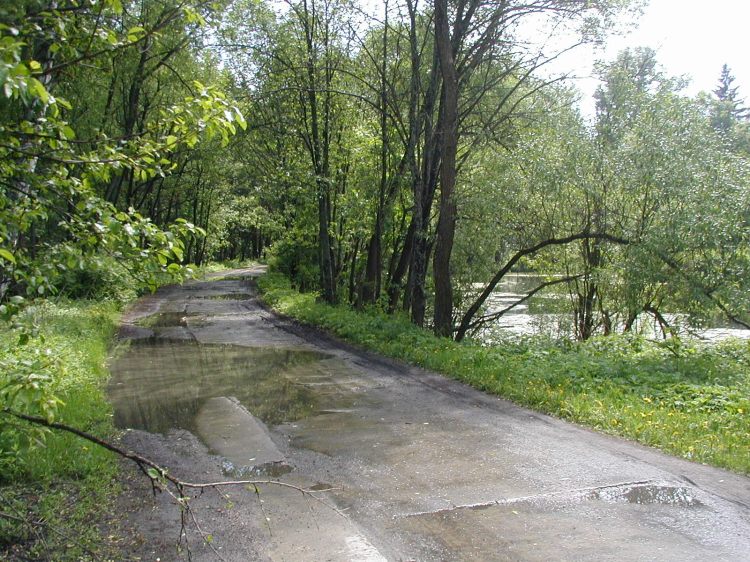 photo "After a downpour" tags: landscape, summer