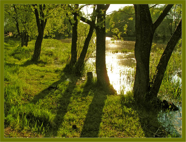 photo "Walk along the river" tags: landscape, summer