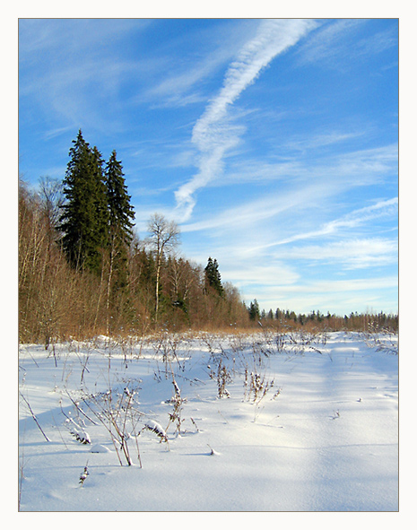 photo "A Russian Winter" tags: landscape, forest, winter