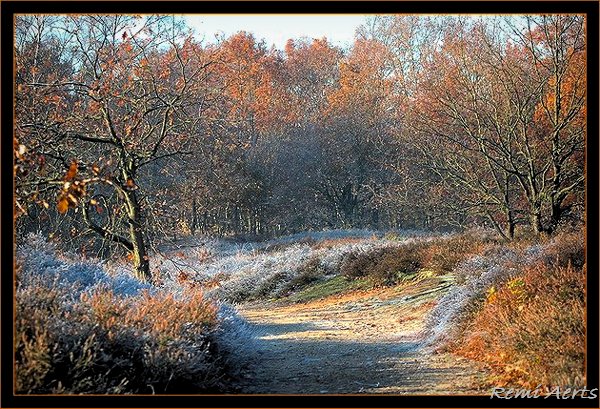 photo "wintermorning" tags: landscape, winter