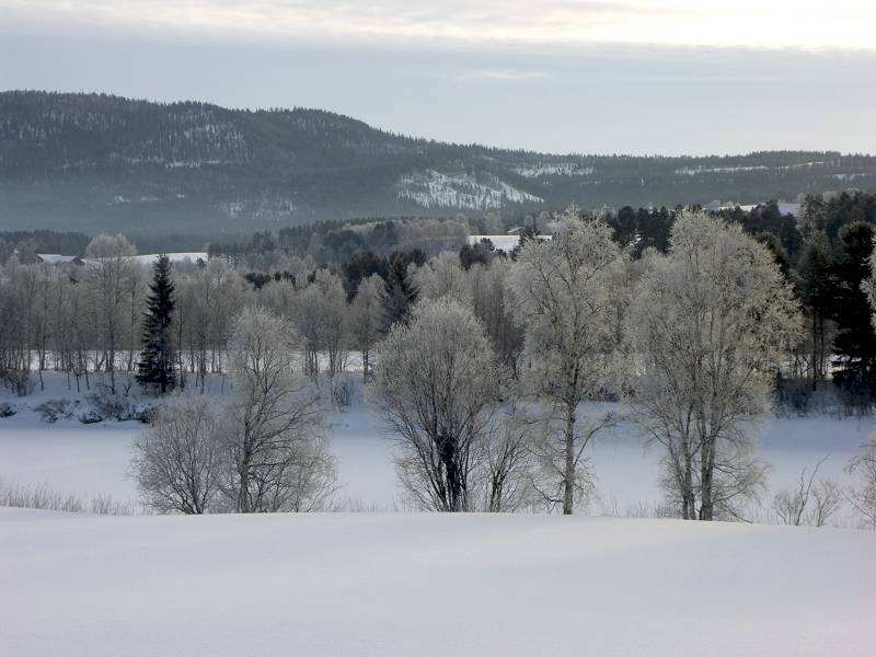 фото "Another cold day in Norway" метки: пейзаж, зима