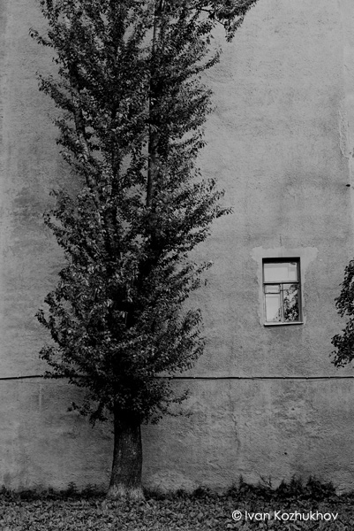 photo "Wall" tags: black&white, 