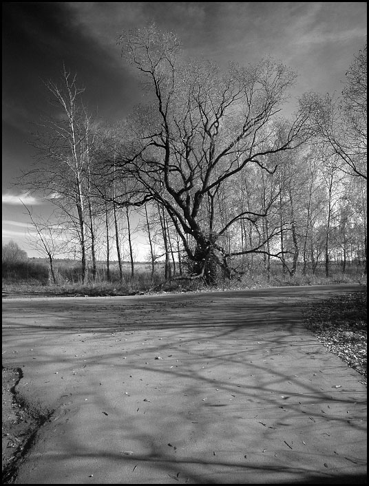 фото "Спрут" метки: пейзаж, 