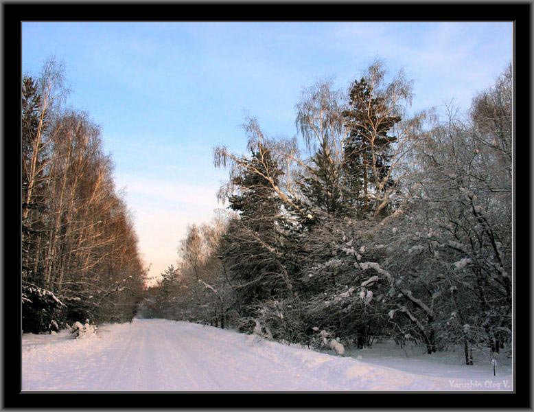 photo "Winter road" tags: landscape, winter