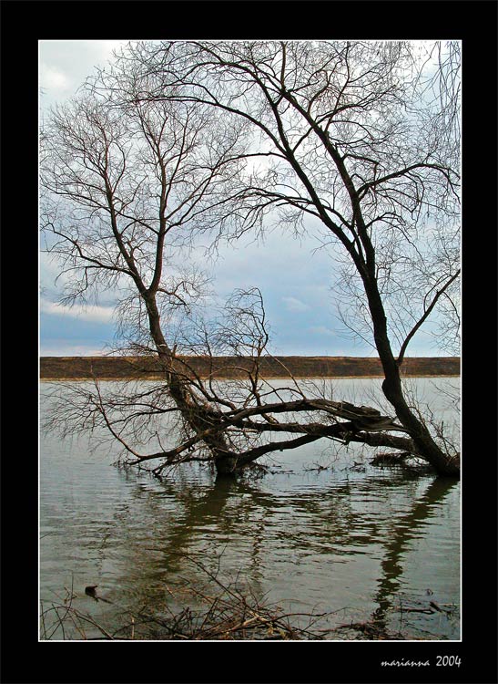 фото "High water" метки: пейзаж, весна, вода