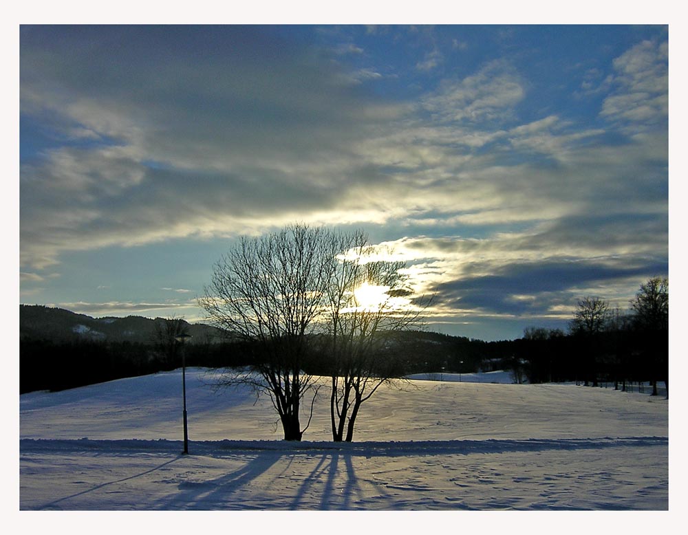 photo "Last winter" tags: landscape, winter