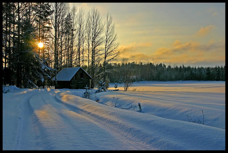 фото "Winter day" метки: пейзаж, зима