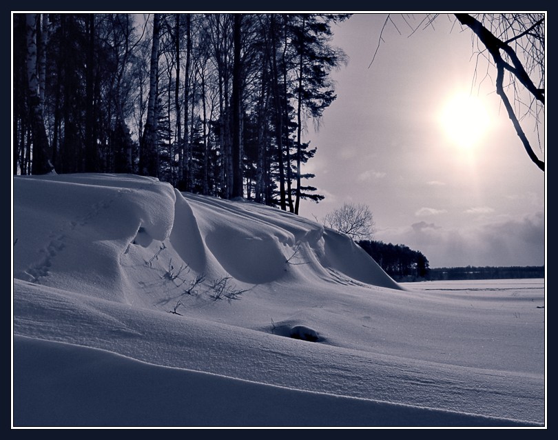 photo "Snow Picture" tags: landscape, winter