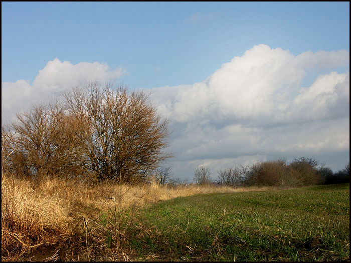 photo "At edge of a field" tags: landscape, clouds, winter