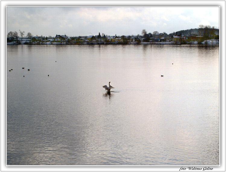 photo "Rural landscape." tags: landscape, water, winter