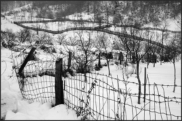 фото ""..."" метки: разное, 