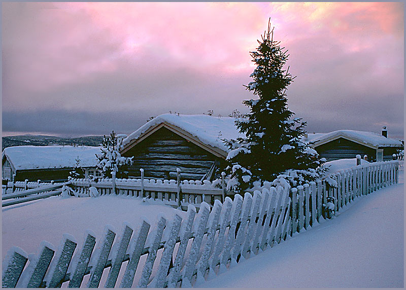 photo "Early morning." tags: landscape, winter