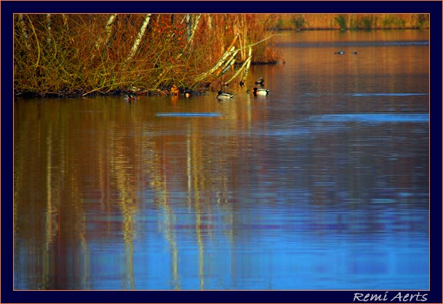 photo "in the morning" tags: landscape, clouds, water