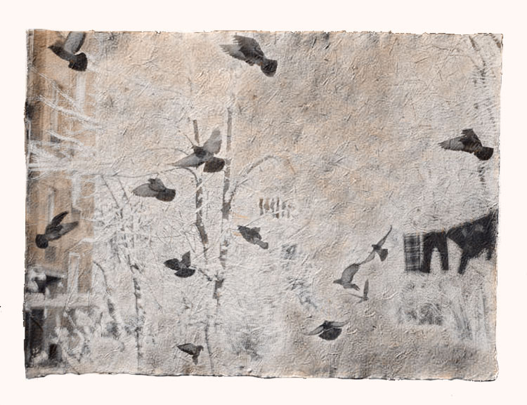 photo "Turbulence" tags: montage, nature, 
