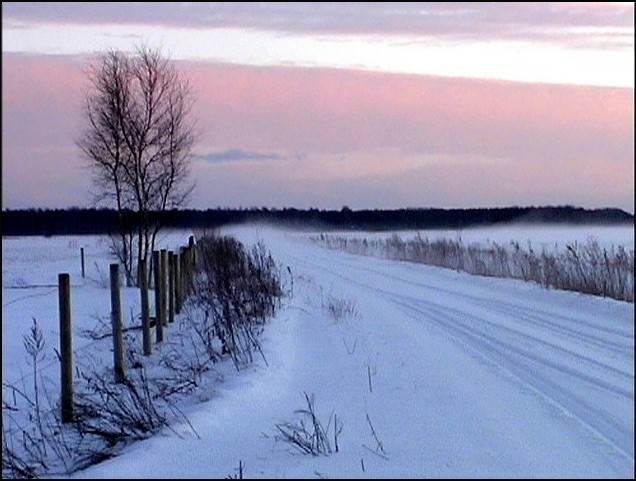 фото "The winter fog" метки: разное, 