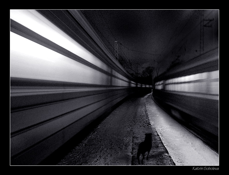 photo "Trains" tags: genre, 