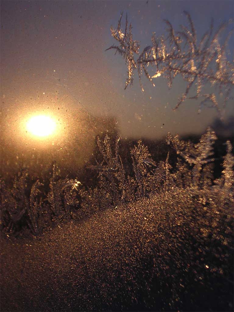 photo "frost at a window" tags: landscape, macro and close-up, winter