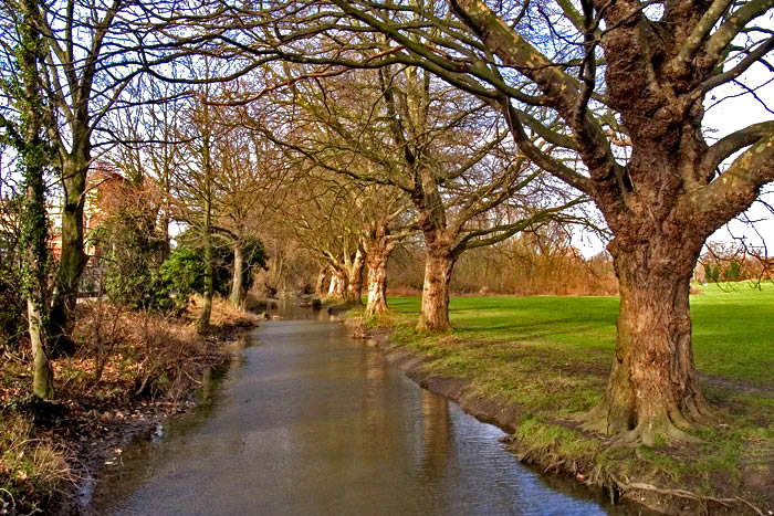 photo "The stream" tags: misc., nature, 