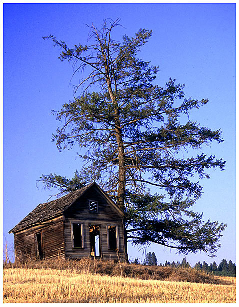 фото "Abandoned" метки: путешествия, Северная Америка