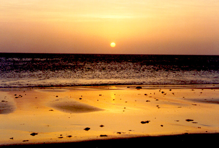photo "Tarifa Sunset" tags: landscape, sunset, water