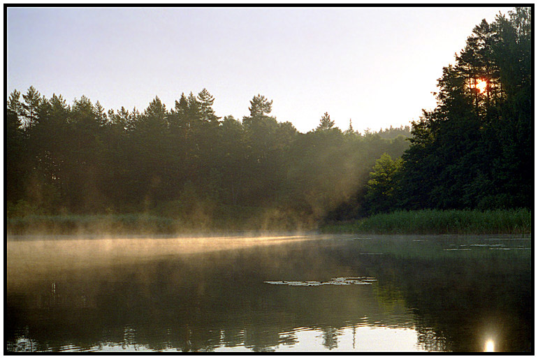 photo "Summer morning" tags: landscape, summer