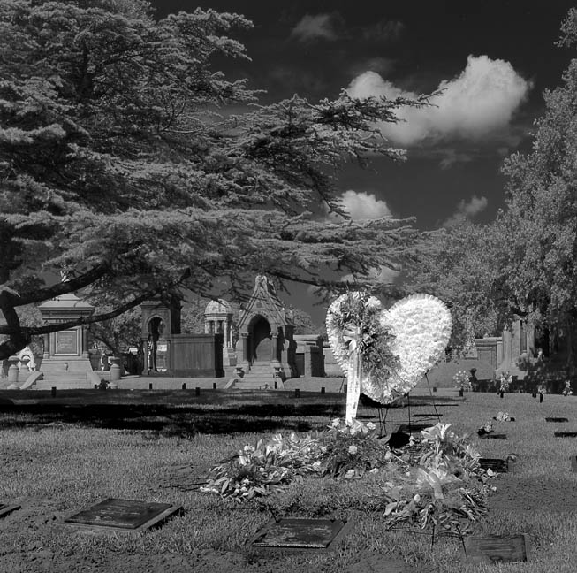 photo "New Orleans Cemetery,Valentines Day" tags: landscape, 