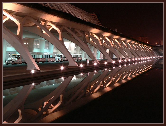 photo "Nocturnal train" tags: landscape, architecture, night