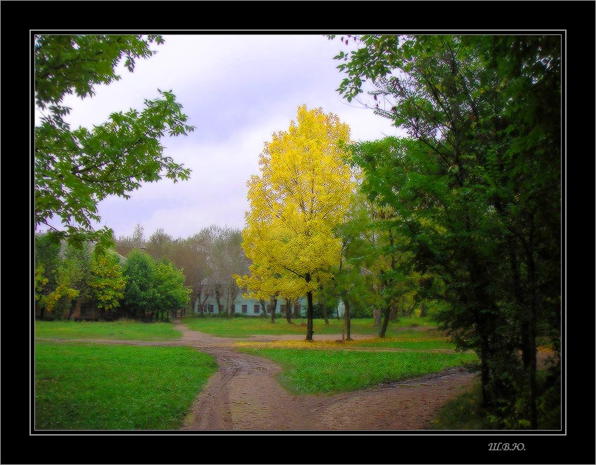 photo "heart of a court yard" tags: landscape, autumn