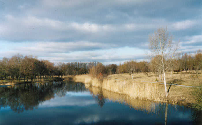 photo "The Khorol river" tags: landscape, forest, water