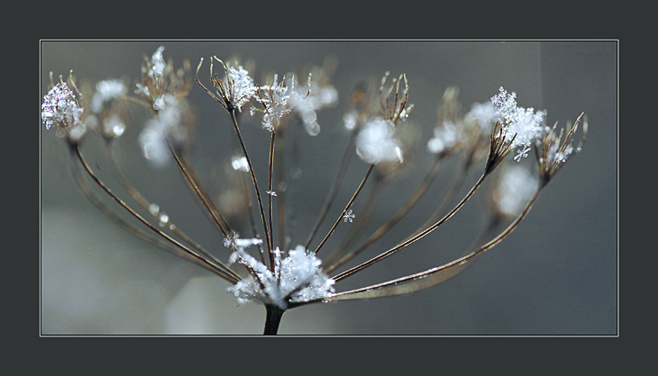 photo "Cocktail "Autumn with ice"" tags: nature, landscape, autumn