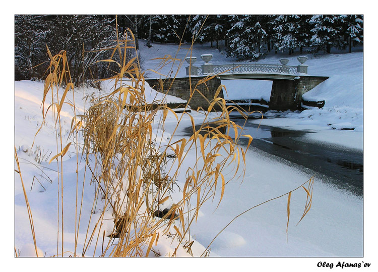 фото "Павловск "Чугунный мостик"" метки: пейзаж, природа, зима