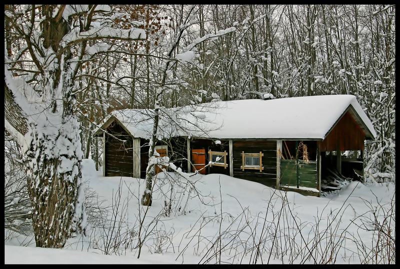 photo "The Forgotten" tags: landscape, winter