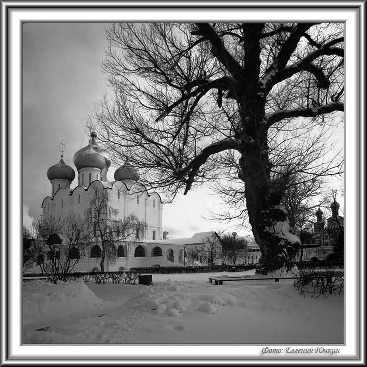 фото "Новодевичий монастырь. Смоленский собор" метки: архитектура, черно-белые, пейзаж, 