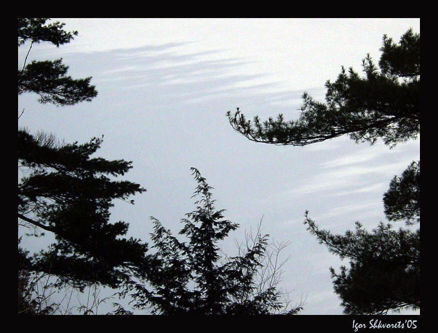 photo "Winter Lake" tags: landscape, forest, winter