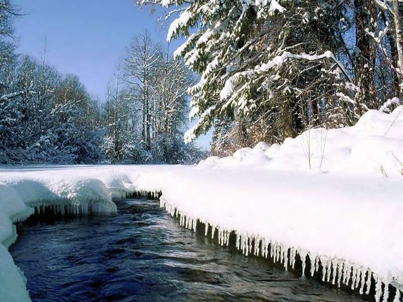 фото "Cold!" метки: пейзаж, зима