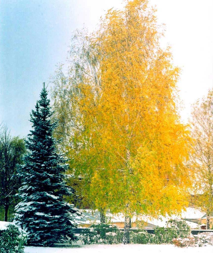 фото "Золотая..." метки: пейзаж, осень