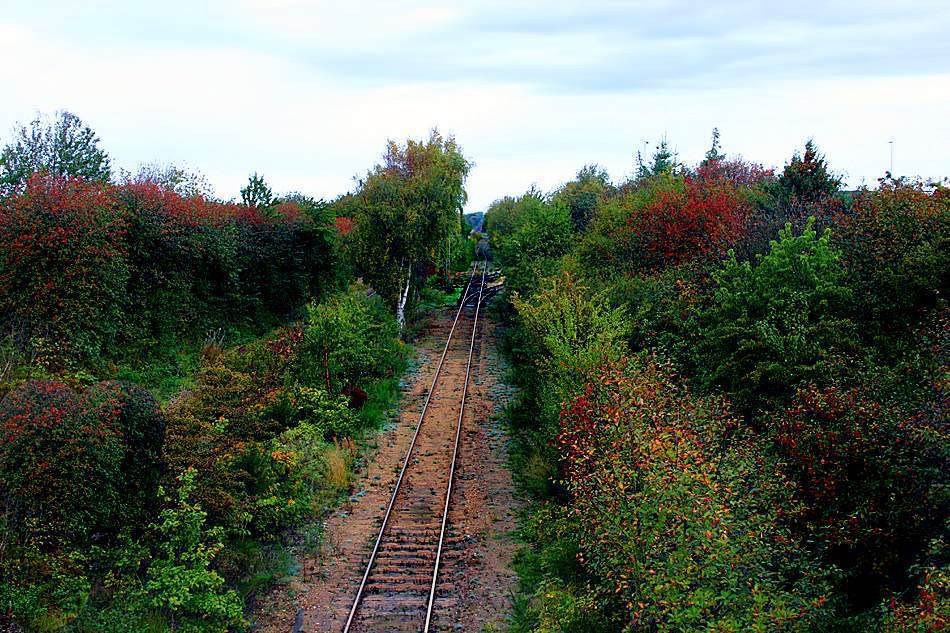 фото "Railroad" метки: пейзаж, лето