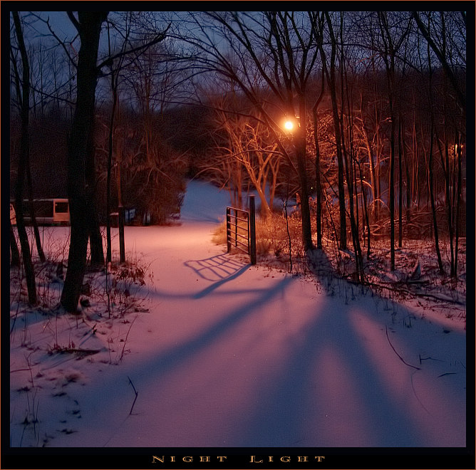 photo "Night Light" tags: landscape, night, winter