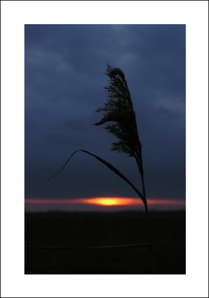 photo "sunset" tags: landscape, sunset