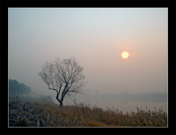 photo "Redhead mist" tags: misc., landscape, autumn