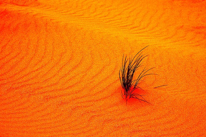 photo "Orange Sands" tags: montage, landscape, 