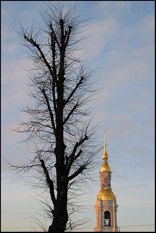 фото "Кудрявое деревво и колокольня Никольского собора з" метки: архитектура, пейзаж, 