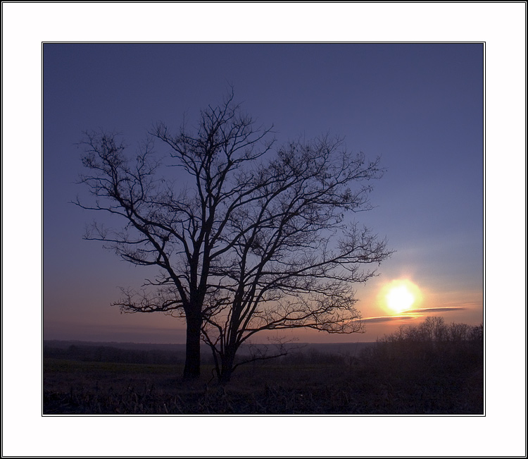 photo "silhouettes #3: the symphony in blue" tags: landscape, nature, 