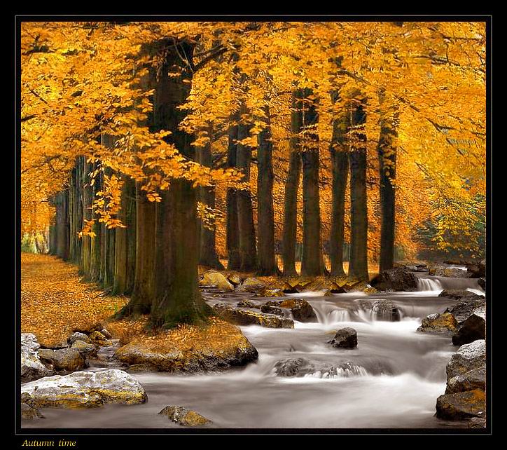 фото "Autumn remember" метки: разное, пейзаж, осень