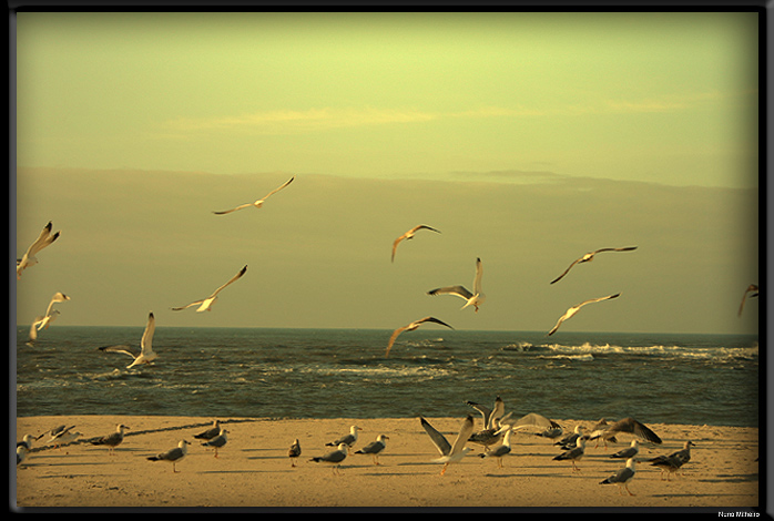 photo "End of reunion on the beach." tags: misc., landscape, sunset