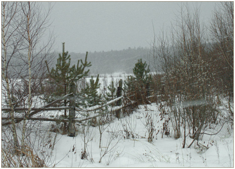 photo "**" tags: landscape, winter