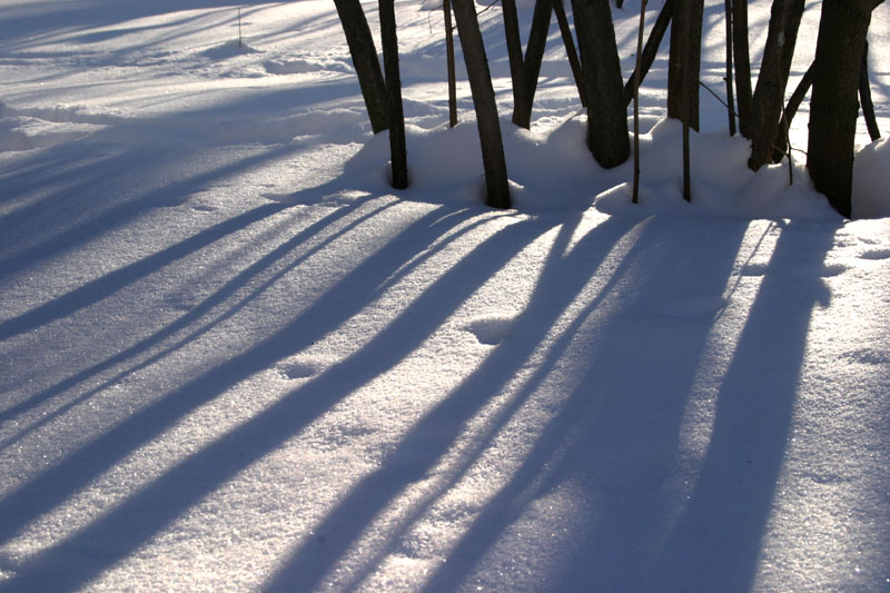 фото "Кратко о зиме" метки: пейзаж, зима