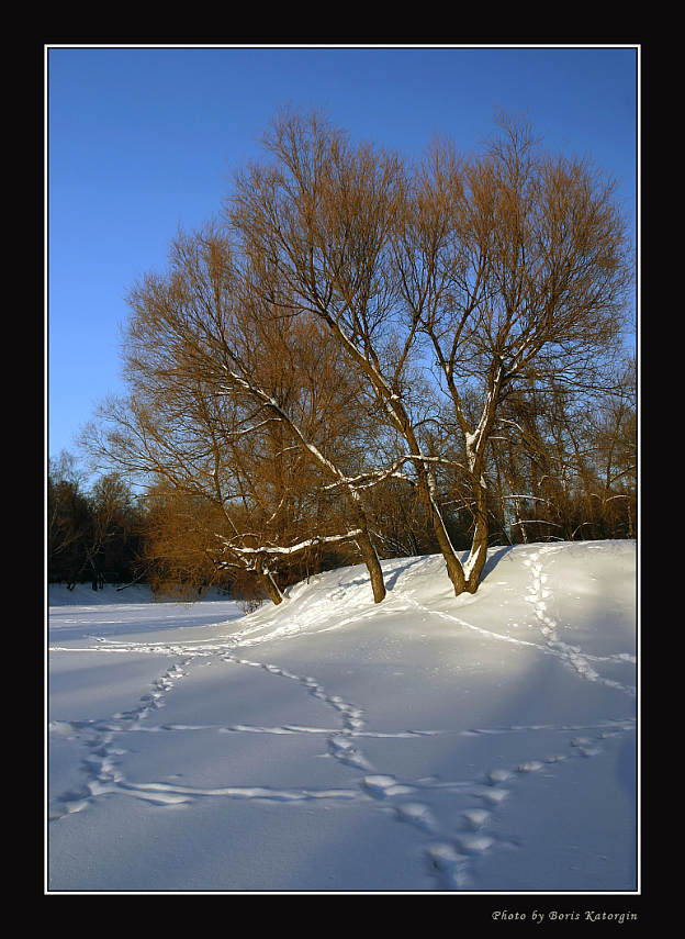 photo "2005. Winter etude-1" tags: landscape, forest, winter